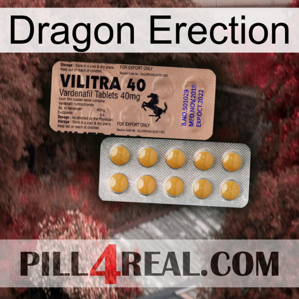 Dragon Erection 41.jpg